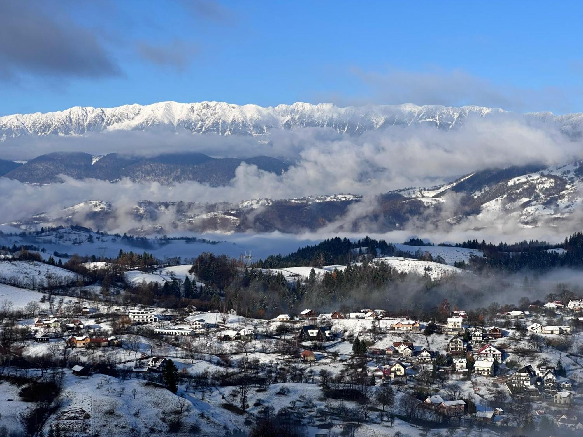 The Pines Bucegi Lodge Bran  Bagian luar foto